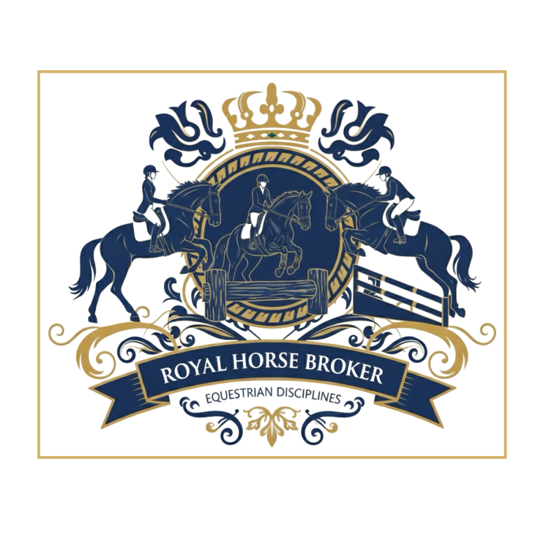 Royal Horse Broker Vermittlung von Elite Sportpferden als Partner oder Investment (Springpferden, Dressurpferden und Vielseitigkeitspferden)
