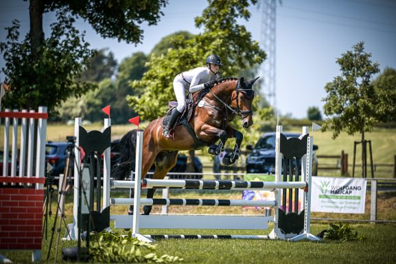 Hervorragende Nachwuchsreiterin mit einem selbst gezüchteten jungen Springpferd in einer Springpferde A* Prüfung. 