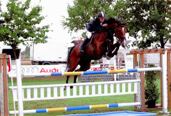 Profispringreiter mit einem von Power und Technik strotzenden Springpferd über einen Oxer in einer Springprüfung von 1,30m Springen.