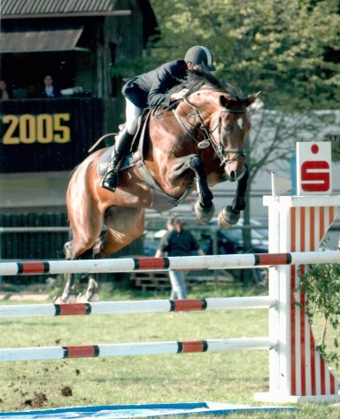 Ein Profireiter mit einem in der Familie selbst aufgezogenen Springpferd, das sich mit sehr guter Manier über einem Sprung befindet.