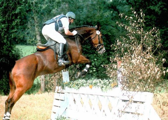 Vielseitigkeitsreiter mit einem Vielseitigkeitspferd das gerade die Geländeprüfung absolviert.